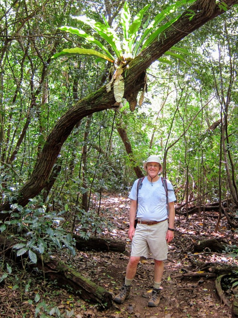 Hiked Under an Epiphyte