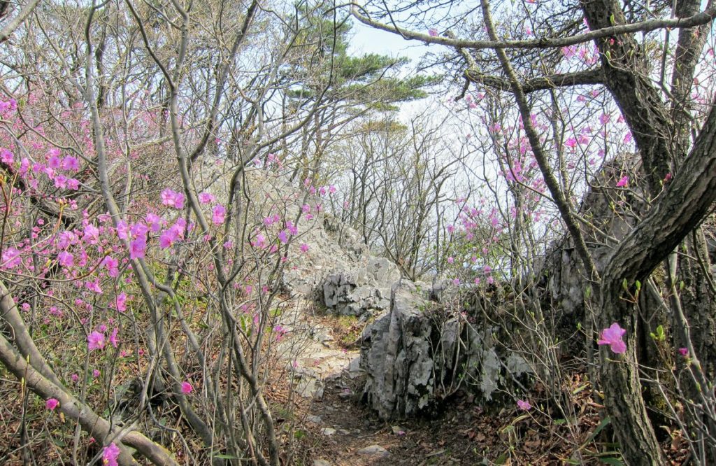 Naejangsan National Park