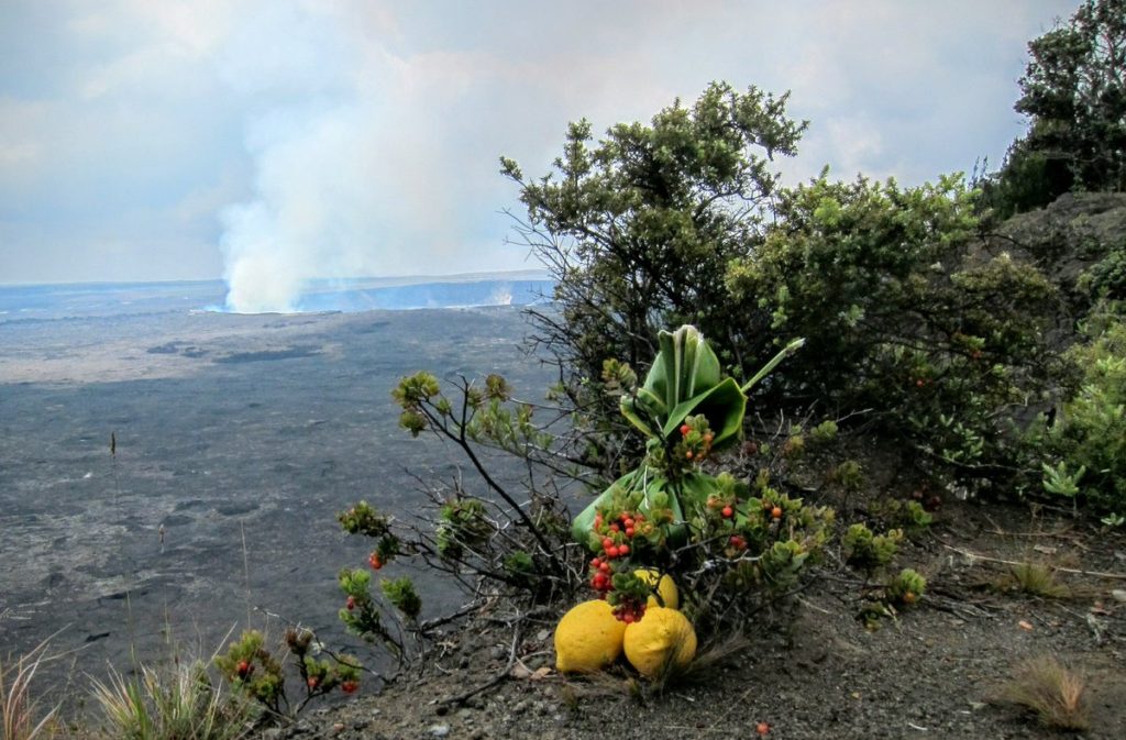 An Offering to Pele