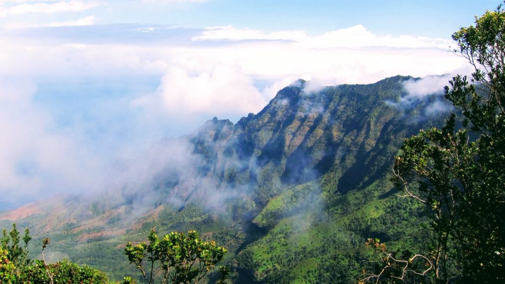 Koke’e State Park Hike