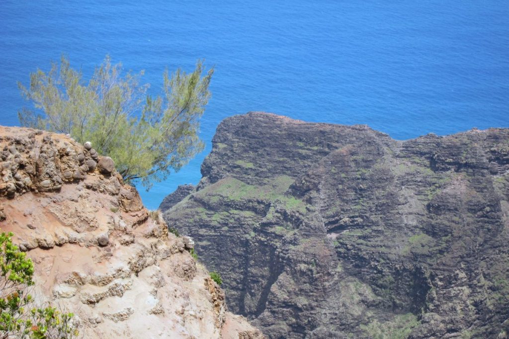 Snapshots: Koke’e State Park