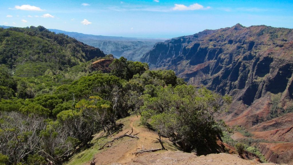 Looking Down on Waimea Canyon