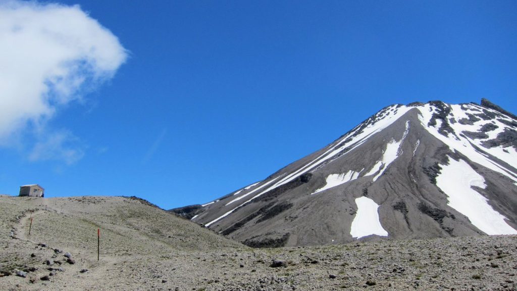 Hiking on All Fours