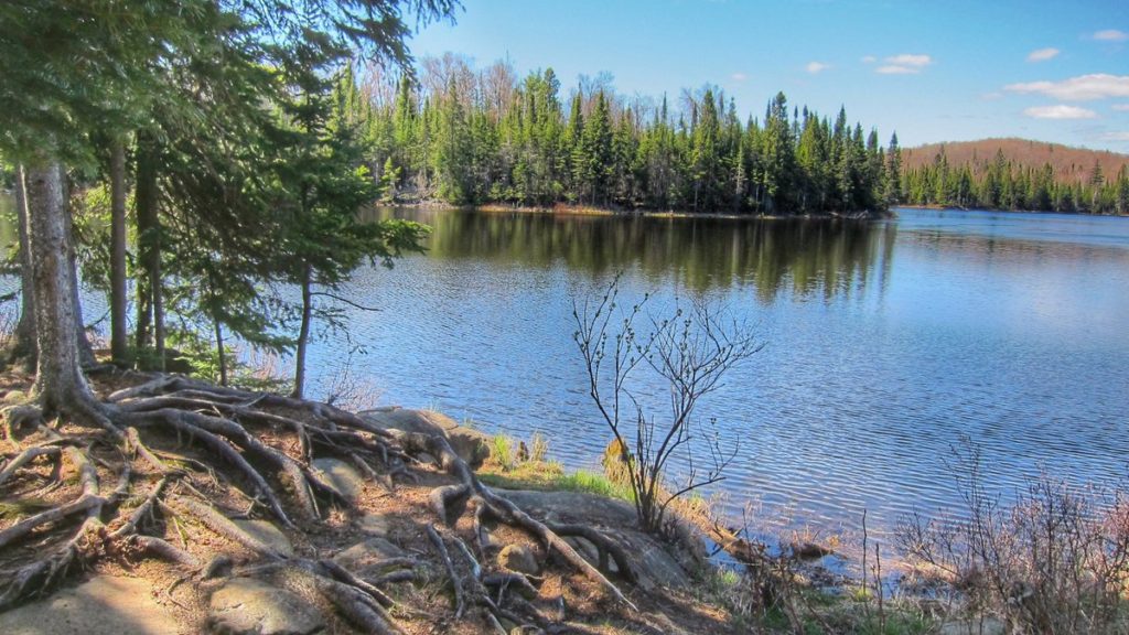 Lake Agnes in and Out