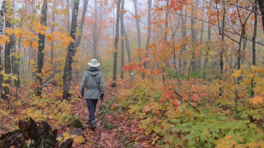 Fair-Weather Hiking