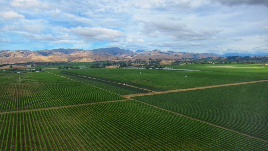 Marlborough Country