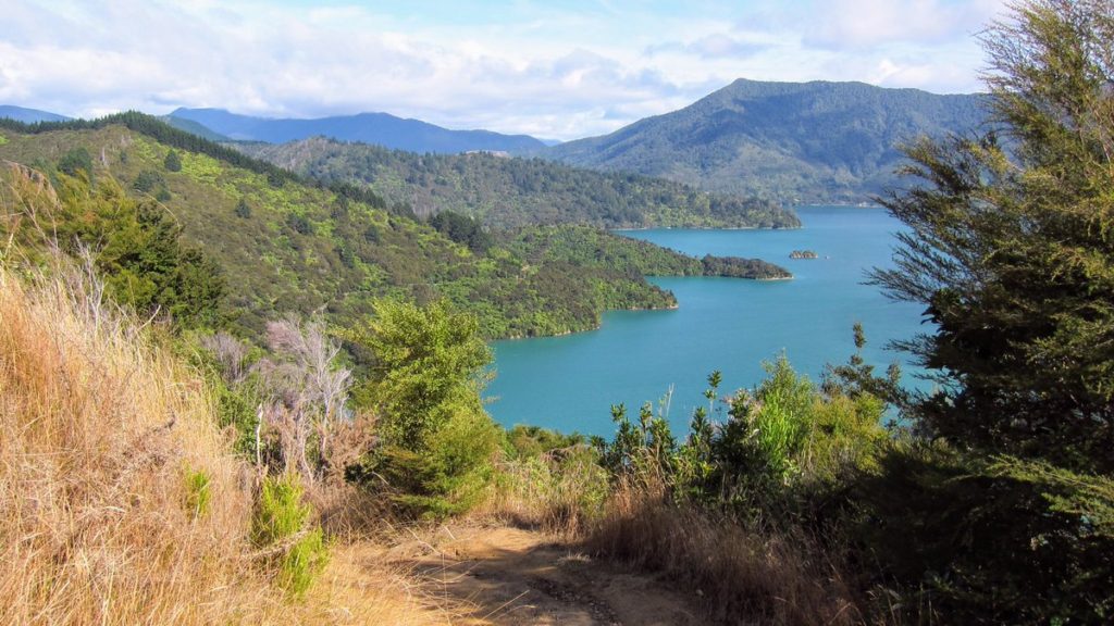 Final Leg, Queen Charlotte Trail