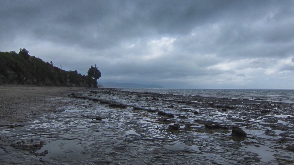 Walking the Beach (Again)