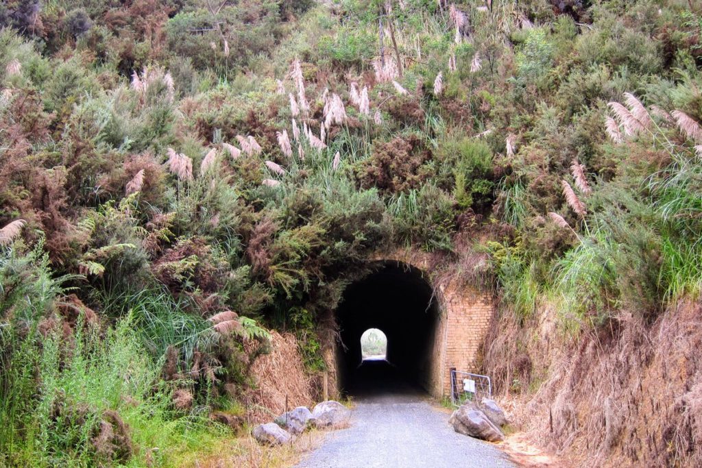 Twin Coast Cycle Trail