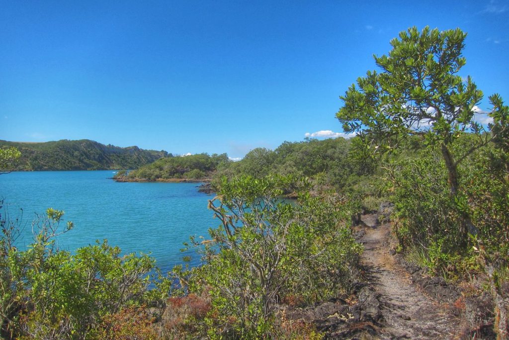 Rangitoto Island