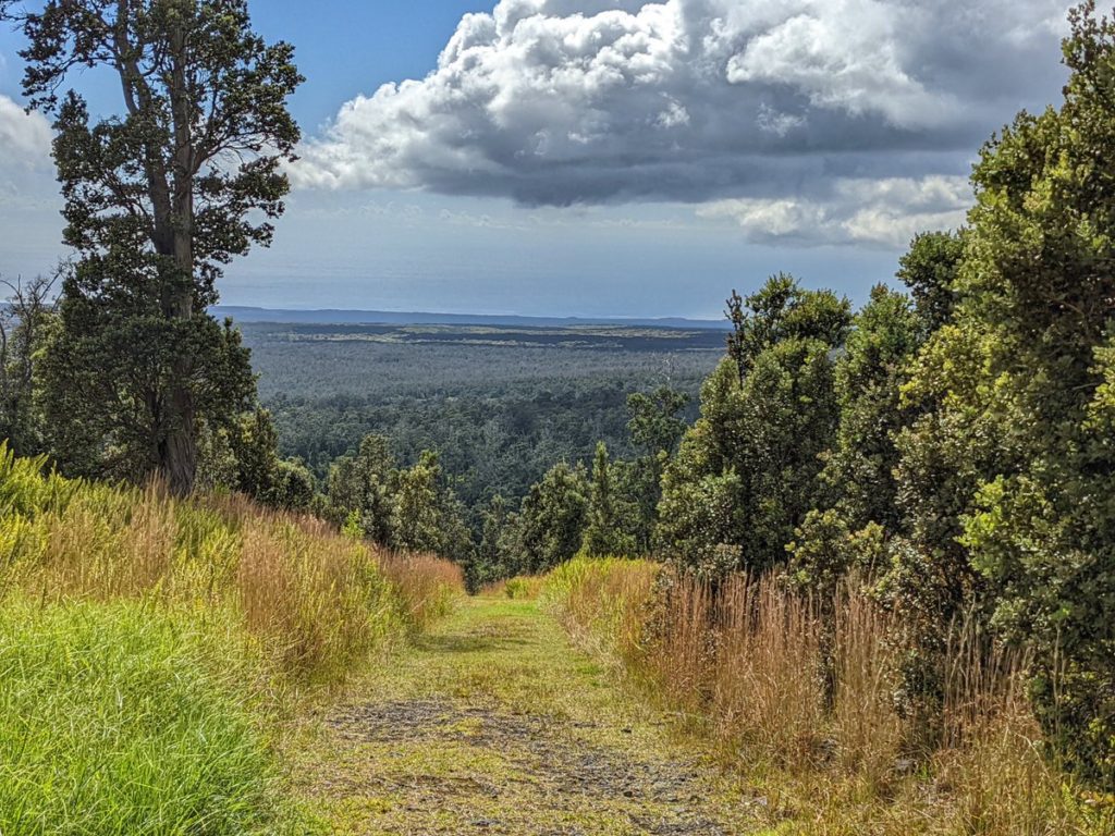 A New Trail