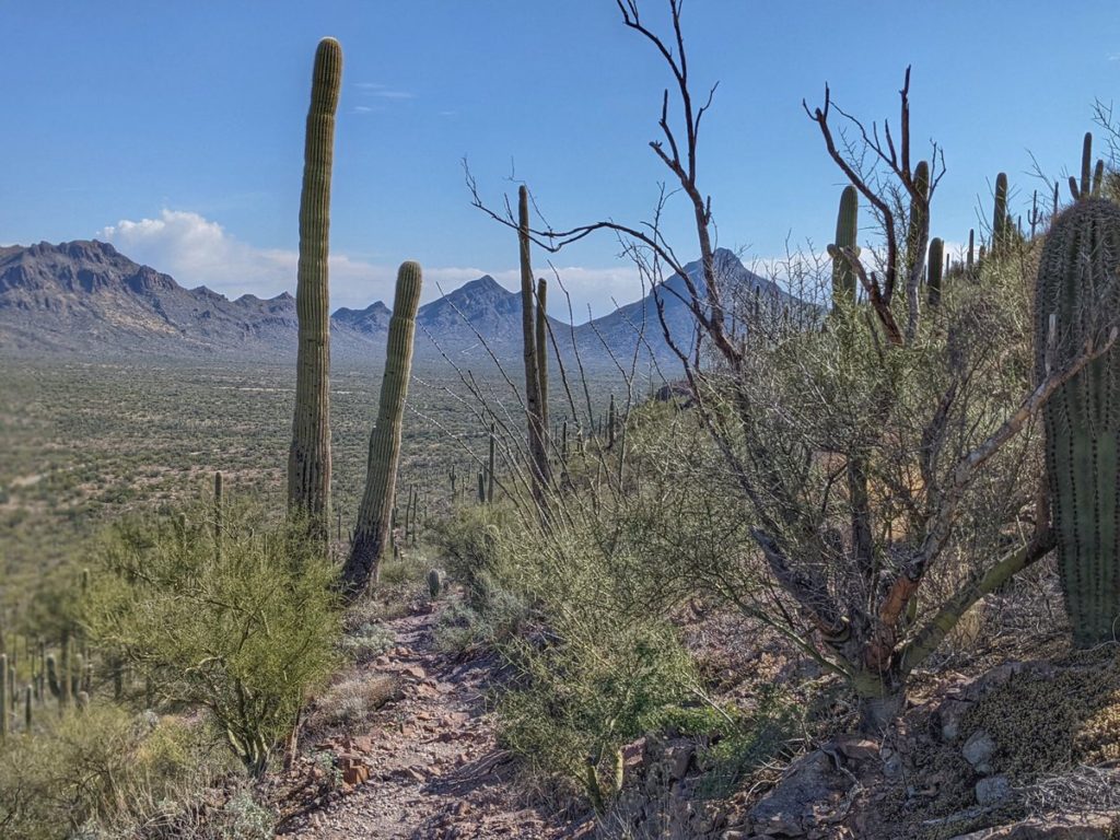 Saguaro National Park West Day 2