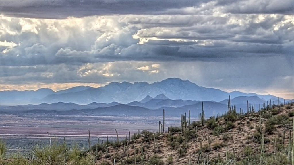 Saguaro National Park