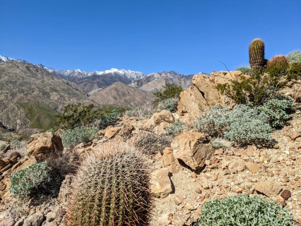 Indian Canyons Loop