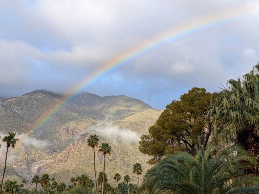 Desert Rainbow