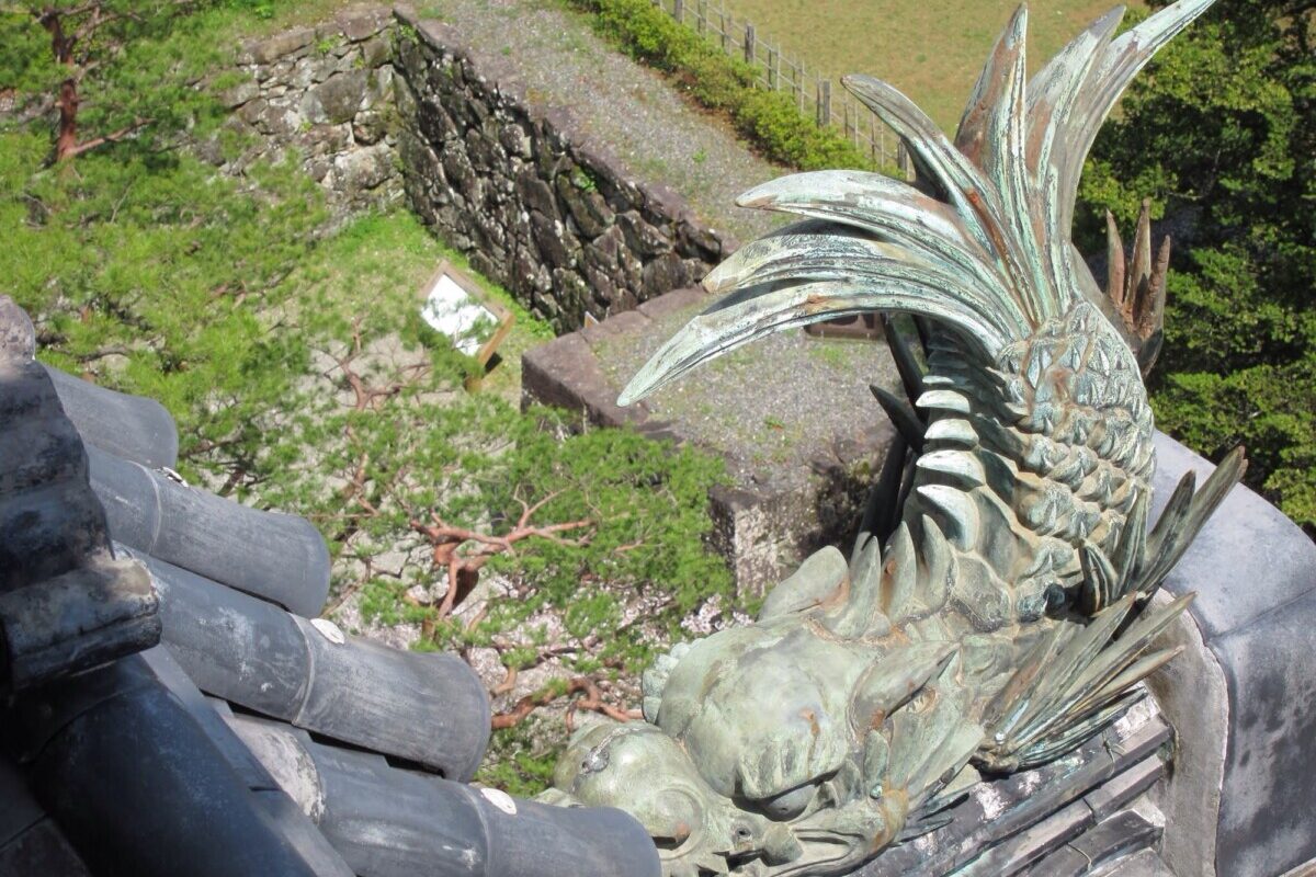 Dragon Protecting Kochi Castle