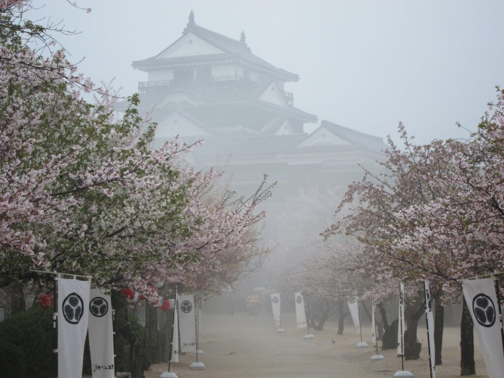 How I Spent My Last Day on Shikoku