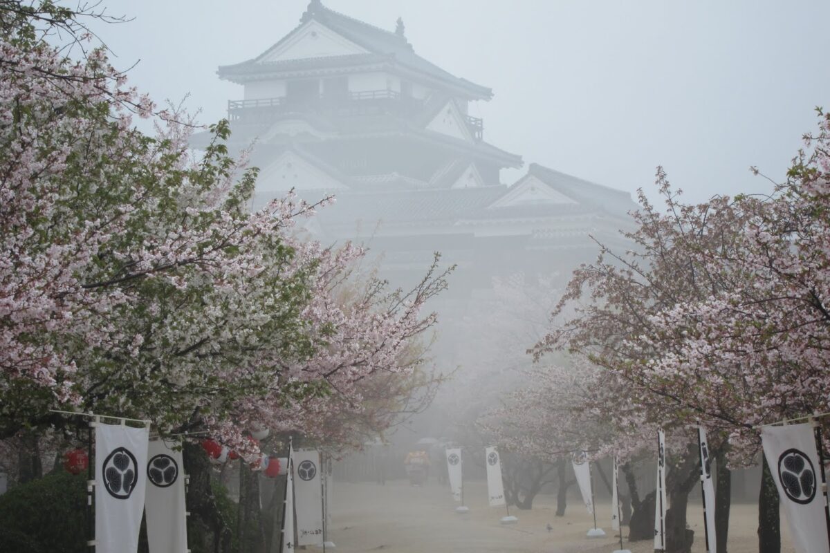 How I Spent My Last Day on Shikoku